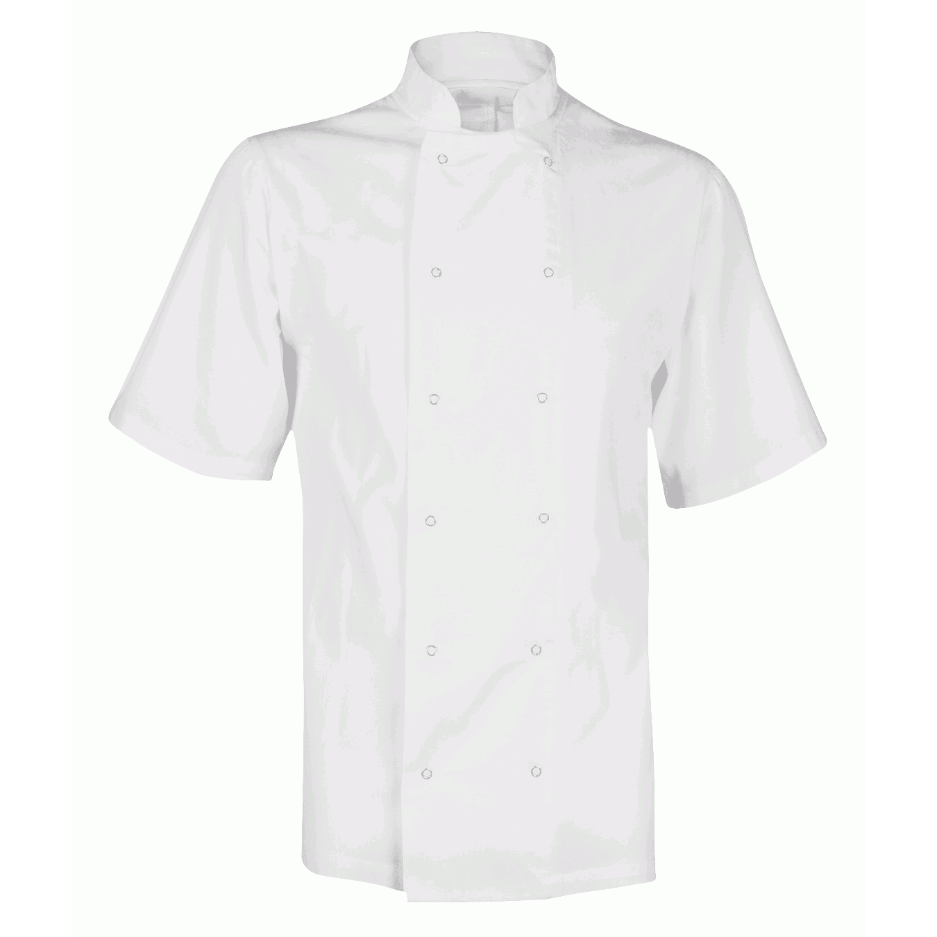 CHEF'S JACKET: UNISEX SHORT SLEEVE white